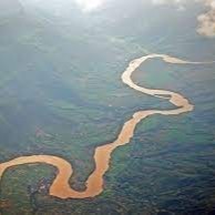 Self Employed Employee Thomas Lim's profile photo