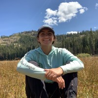 Abigail Messe Email