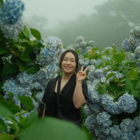 TecAce Software Ltd. Employee Pauline Lee's profile photo