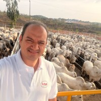 fribal Employee Carlos Romazzini's profile photo