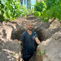 Achaval-Ferrer Employee Jose Aguilera's profile photo