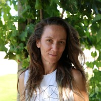 Medica medical centers LTD Employee Adi Shalev's profile photo