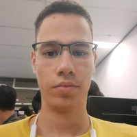 Vinícius Tamasauskas Email