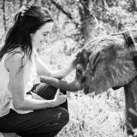 Sheldrick Wildlife Trust Employee Sean Michael's profile photo