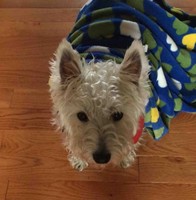 Elmhurst Memorial Hospital Employee Cristine Santos's profile photo