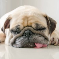 Self-Employed Employee Jonathan Rouse's profile photo