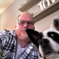 Martin Elek Email & Phone Number