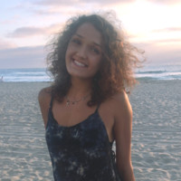 Native Americans for Community Action Inc. Employee Madison Dreifuss's profile photo