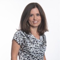 Hanni David Email