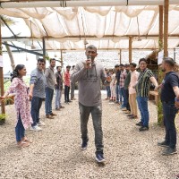 Mersheed Hamza Email