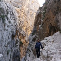 NDC España Employee David Chillida's profile photo