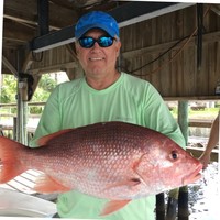 Bill Geddings Email & Phone Number