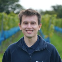 Cordon Technologies Employee Daniel Newton's profile photo