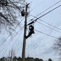 Daniel McFadden Email & Phone Number