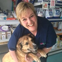 Jo Day Email