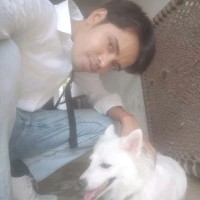 Raj Maurya Email & Phone Number