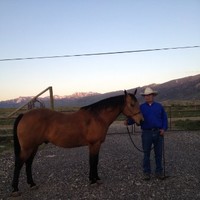 Alan London Email & Phone Number