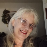 Thunderbird Engineering, Inc. Employee Darlene Seidner's profile photo