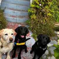 EBMUD Employee David Glasser's profile photo