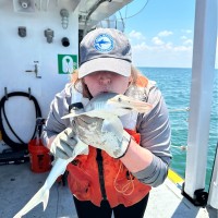 Parrish Community High School Employee Savanna Finley's profile photo