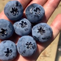 Fruitist Employee Todd Mauritz's profile photo