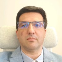 ERPAG INC Employee Radosav Djorovic's profile photo