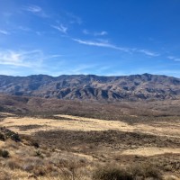 Michael F Simon Builders, Inc. Employee Lauren Burke's profile photo