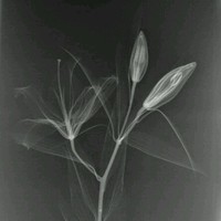 Zuckerberg San Francisco General Hospital and Trauma Center Employee Luis Moran's profile photo