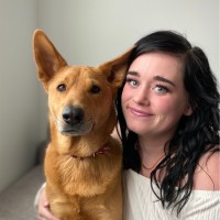Motorola Solutions Employee Ashley Rees's profile photo
