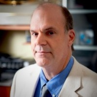 The Chosen Employee James Stamatis's profile photo