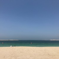 Aston Pearl Real Estate Broker Employee Dmytro Sosunov's profile photo