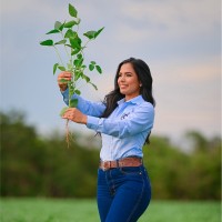 Hesselbach Company Employee Cinthya Araújo's profile photo