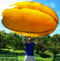 Southern Cross University Employee Peter Corr's profile photo