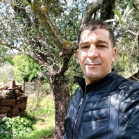 Magpharm Laboratoires Employee Massinissa Mechaheb's profile photo