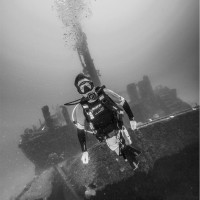 Steve Winter Email & Phone Number