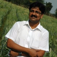 Ankur Seeds Pvt Ltd Employee Manoj Singh's profile photo