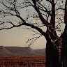 Grant Fleming Email