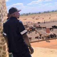 GoCongo Foundation Employee Jean Paul Mwanza's profile photo