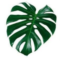 Planterra Employee Jessie Letarte's profile photo