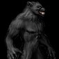 Wilkes University Employee the Beast's profile photo