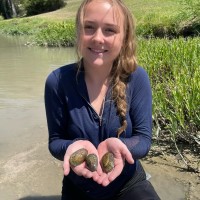 Hicks & Company Environmental/Archeological Consultants Employee Marlee McDaniel's profile photo