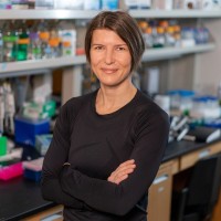 St. Jude Children's Research Hospital Employee Anne Bremer's profile photo