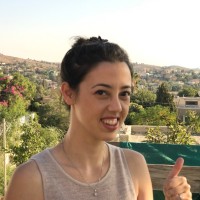 Adi Iwanir Email