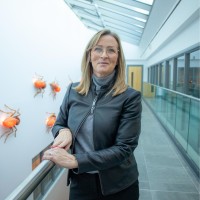 Mid and East Antrim Borough Council Employee Siobhan Fisher's profile photo