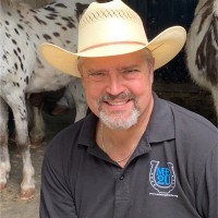 Doug McLean Email & Phone Number