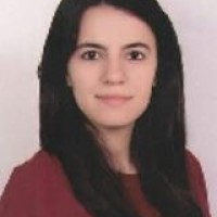 Merve Akin Email