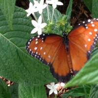 ECD Systems Arizona Employee Trisha Dewolf's profile photo