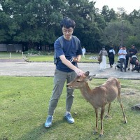 Regtics Limited Employee Vence Lin's profile photo