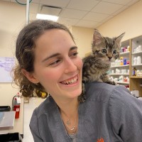 Tandem Employee Lindsy Voelker's profile photo