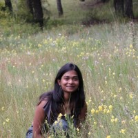 Concord Employee Vandana Kuncham's profile photo